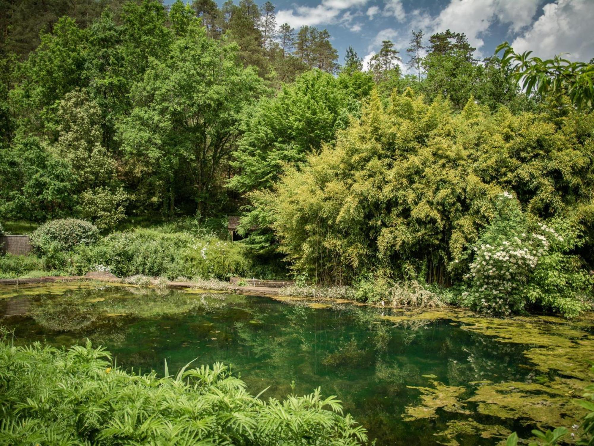 Gite Moulin de lAlbarède Saint-Cybranet Esterno foto